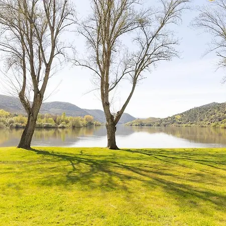Douro Elegance Country house