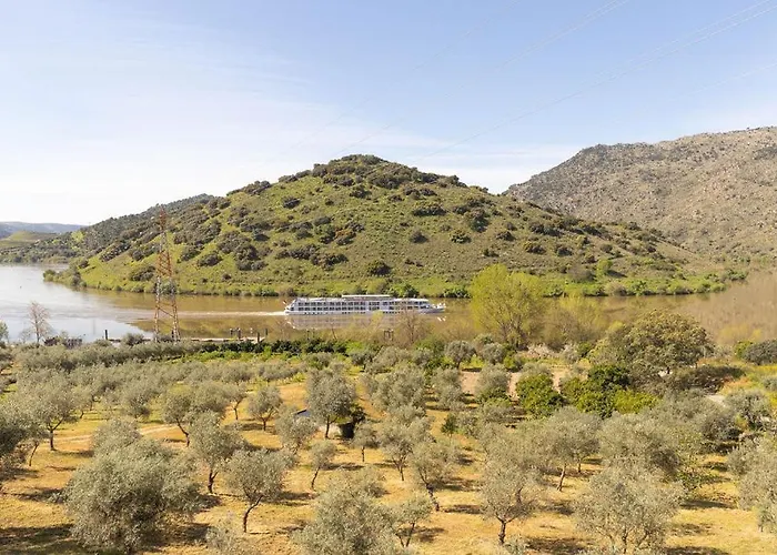 Douro Elegance 乡村民宿 托里－迪蒙科尔武