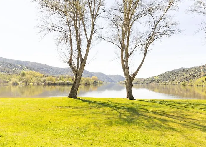 Douro Elegance * Torre De Moncorvo