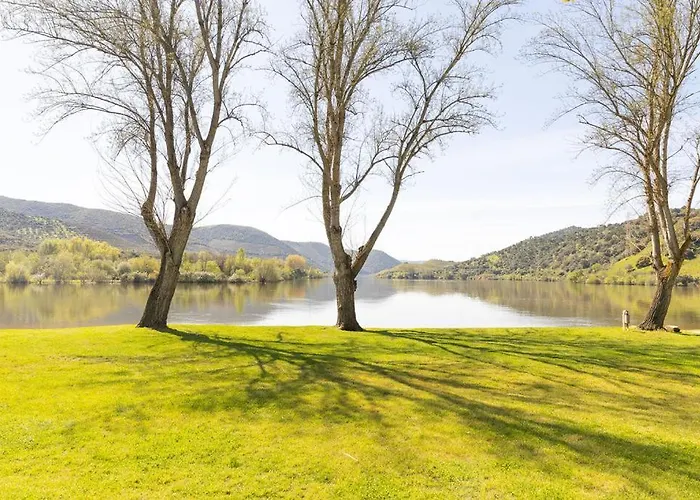 Douro Elegance 乡村民宿